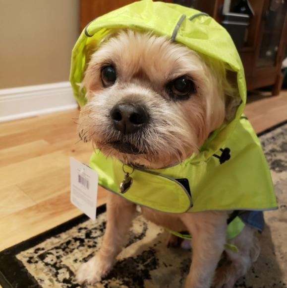 ❤️😍 Host Pick! 🐕❤️  Rain Jacket With Reflective Accents L - Picture 2 of 12